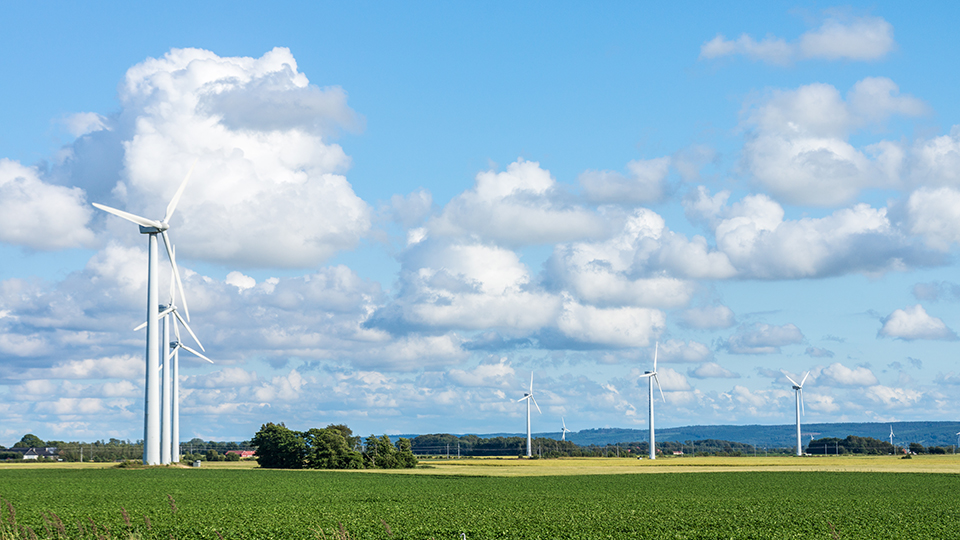 Vindkraftverk på ett fält, grönskande omgivningar och fluffiga moln på himlen.